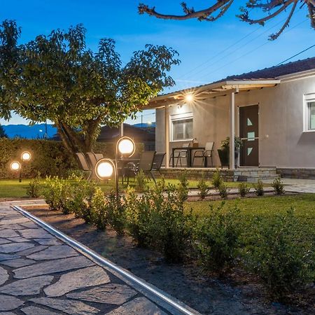 Villa Castellano Vasiliki à Vasiliki  Extérieur photo
