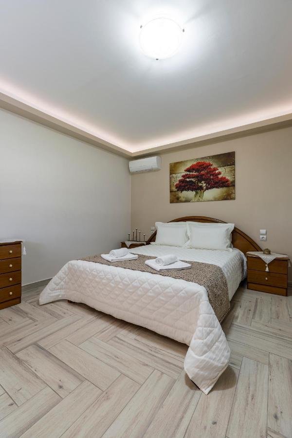 Villa Castellano Vasiliki à Vasiliki  Extérieur photo