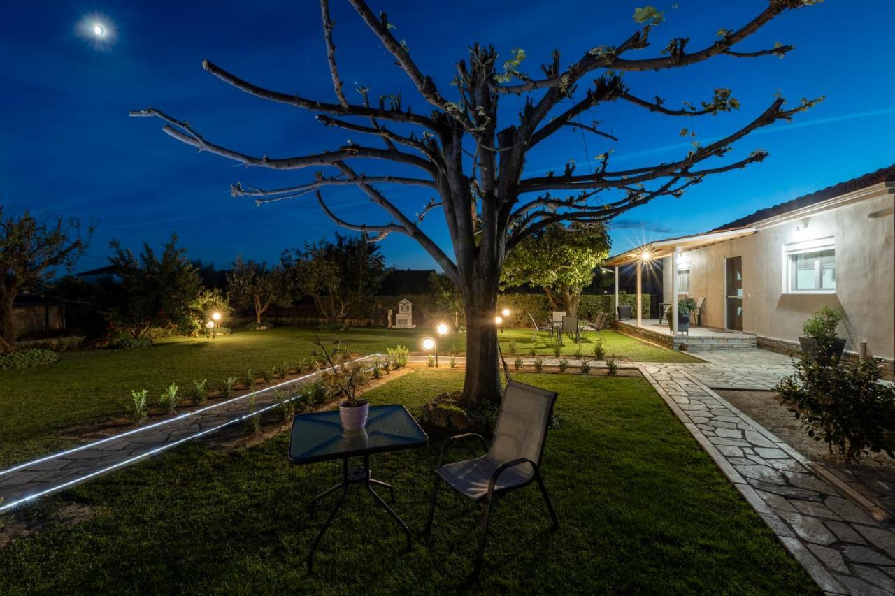Villa Castellano Vasiliki à Vasiliki  Extérieur photo