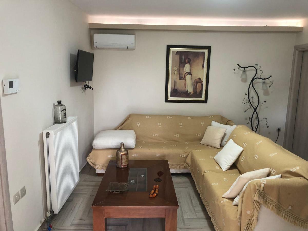 Villa Castellano Vasiliki à Vasiliki  Extérieur photo